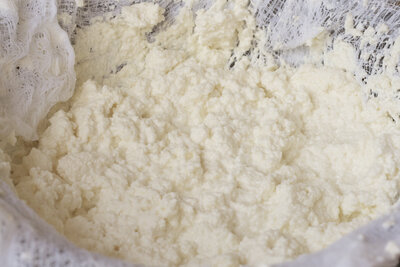Homemade Ricotta Cheese