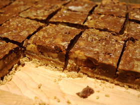 Turtle Bars