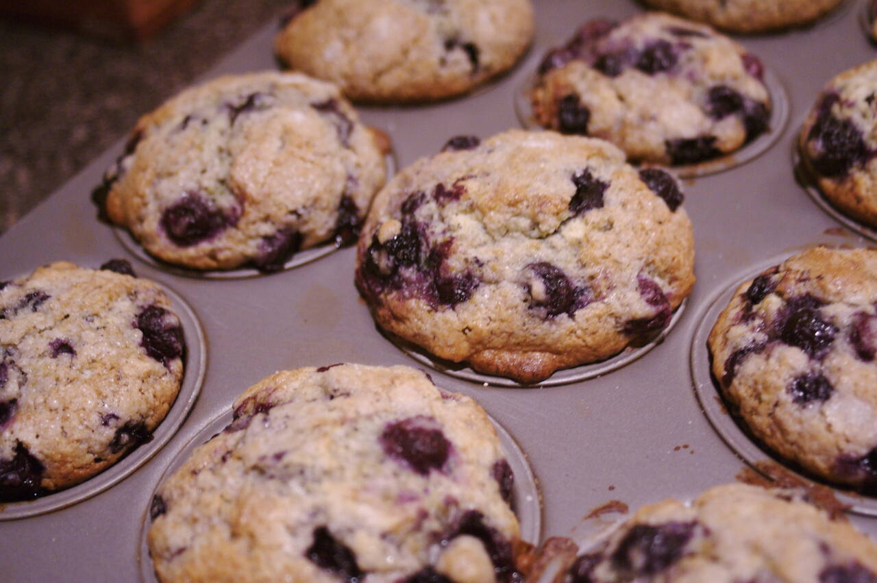 Very Blueberry Muffins