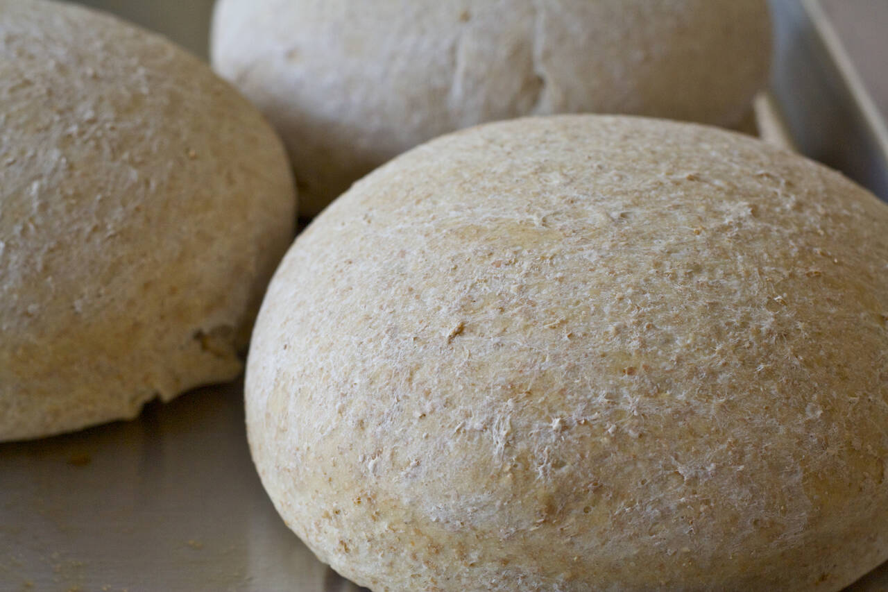 Whole Wheat Moroccan Bread
