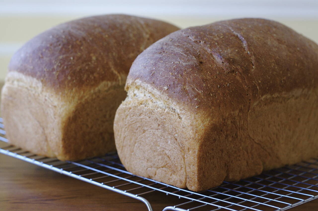 Country Whole Wheat Bread Recipe