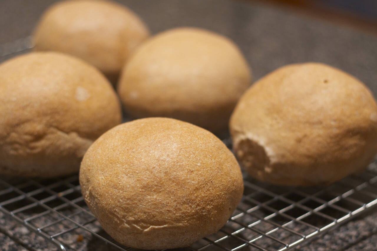 Whole Wheat Hamburger Buns Recipe